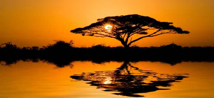 Tours to Botswana 2022/2023 | Riviera Travel